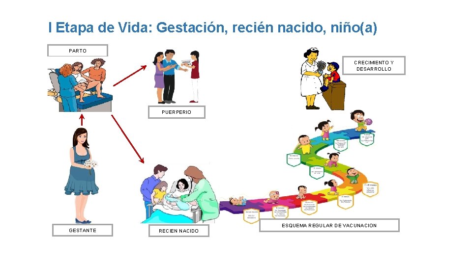 I Etapa de Vida: Gestación, recién nacido, niño(a) PARTO CRECIMIENTO Y DESARROLLO PUERPERIO GESTANTE