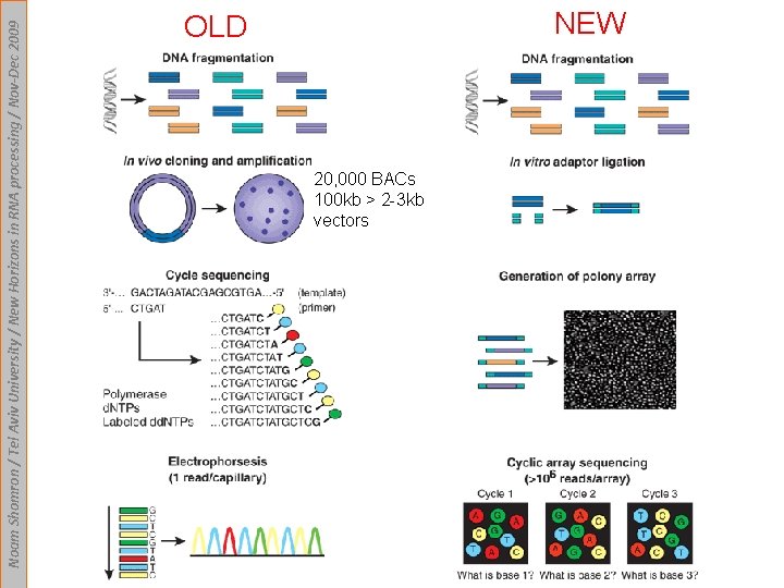 Noam Shomron / Tel Aviv University / New Horizons in RNA processing / Nov-Dec