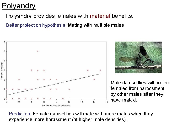 Polyandry provides females with material benefits. Better protection hypothesis: Mating with multiple males Male