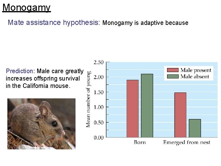 Monogamy Mate assistance hypothesis: Monogamy is adaptive because Prediction: Male care greatly increases offspring