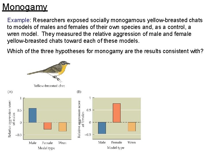 Monogamy Example: Researchers exposed socially monogamous yellow-breasted chats to models of males and females