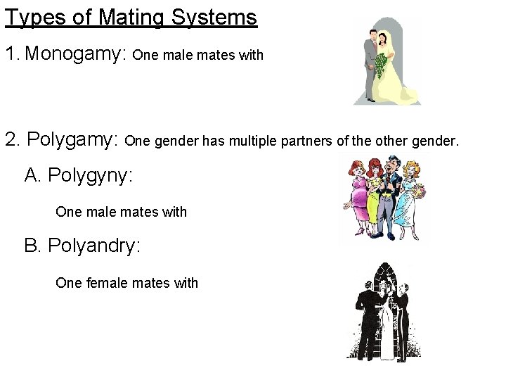 Types of Mating Systems 1. Monogamy: One male mates with 2. Polygamy: One gender