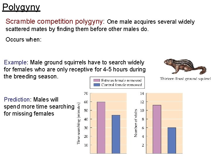 Polygyny Scramble competition polygyny: One male acquires several widely scattered mates by finding them