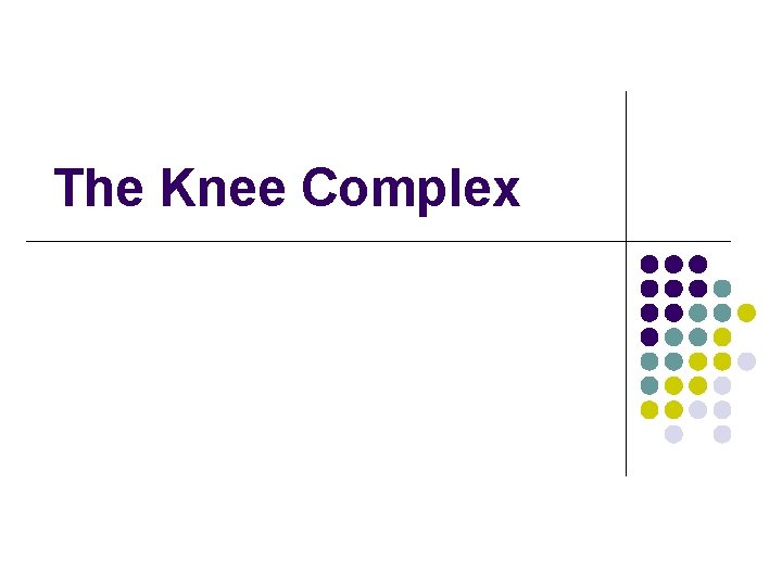 The Knee Complex 