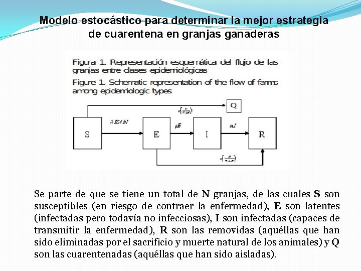 Modelo estocástico para determinar la mejor estrategia de cuarentena en granjas ganaderas Se parte