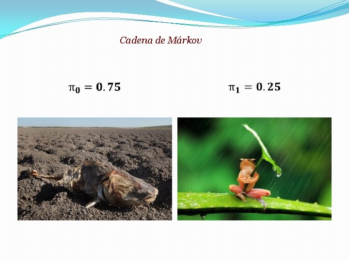 Cadena de Márkov 