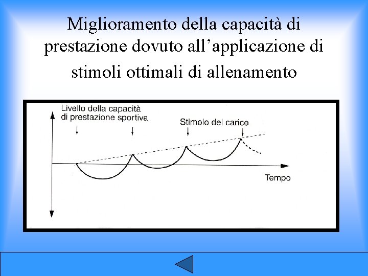 Miglioramento della capacità di prestazione dovuto all’applicazione di stimoli ottimali di allenamento 