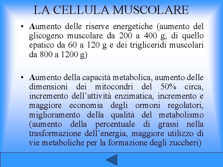 LA CELLULA MUSCOLARE • Aumento delle riserve energetiche (aumento del glicogeno muscolare da 200