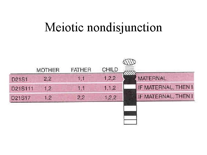 Meiotic nondisjunction 