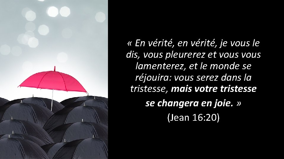  « En vérité, en vérité, je vous le dis, vous pleurerez et vous