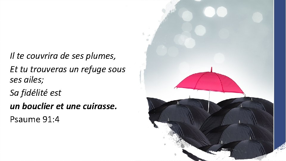 Il te couvrira de ses plumes, Et tu trouveras un refuge sous ses ailes;