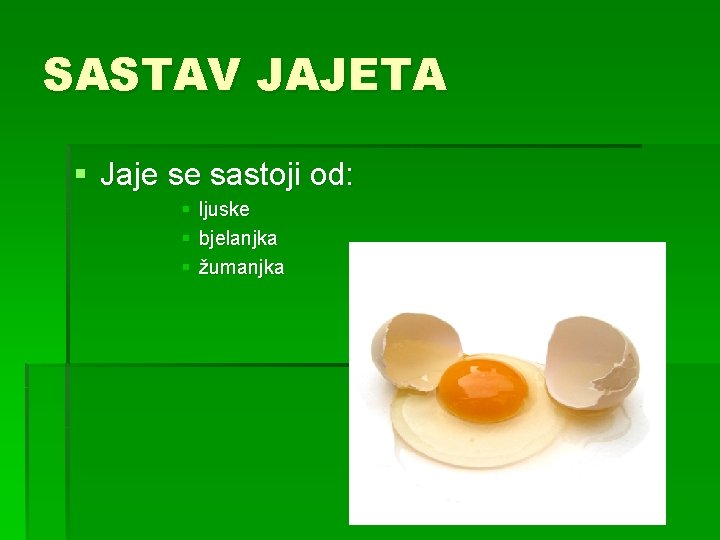 SASTAV JAJETA § Jaje se sastoji od: § ljuske § bjelanjka § žumanjka 