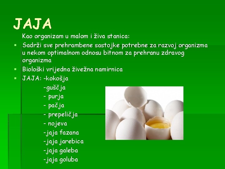 JAJA § § § Kao organizam u malom i živa stanica: Sadrži sve prehrambene