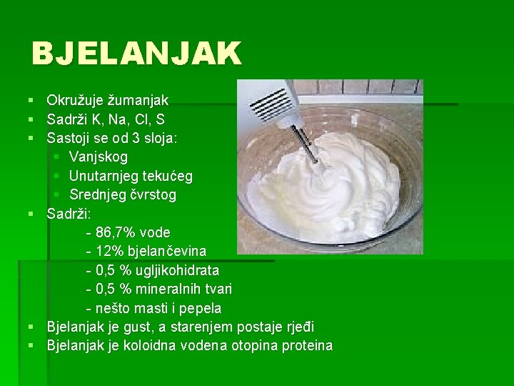 BJELANJAK § § § Okružuje žumanjak Sadrži K, Na, Cl, S Sastoji se od
