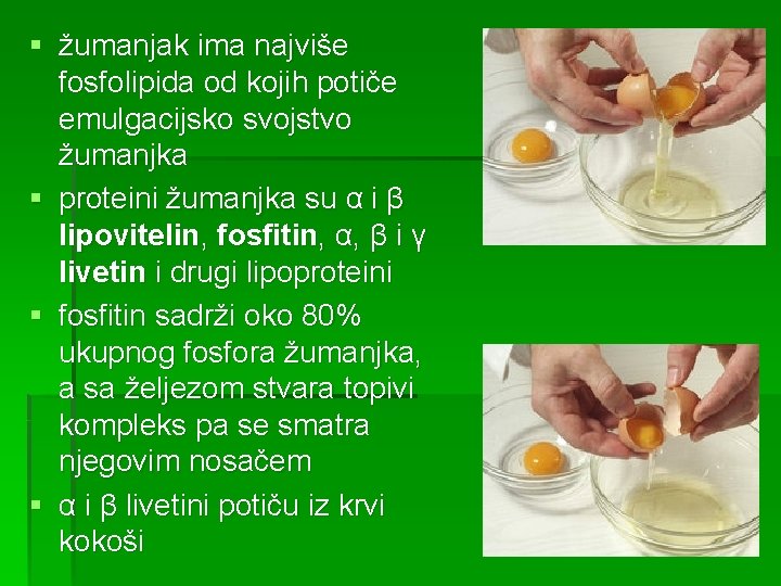 § žumanjak ima najviše fosfolipida od kojih potiče emulgacijsko svojstvo žumanjka § proteini žumanjka