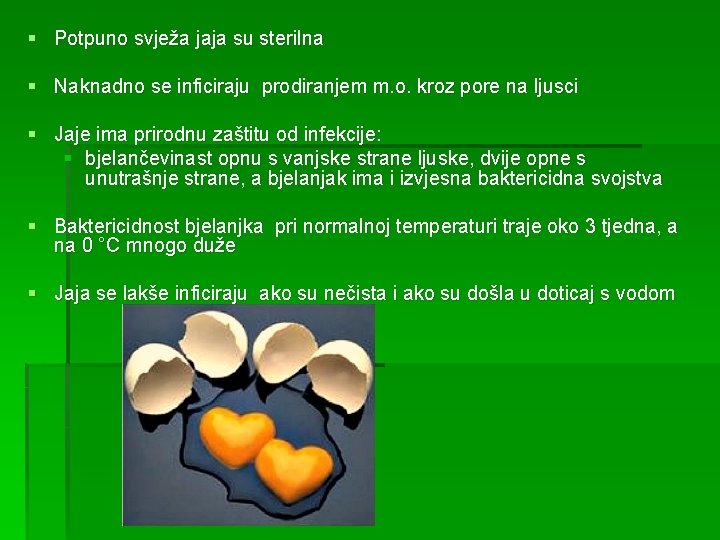 § Potpuno svježa jaja su sterilna § Naknadno se inficiraju prodiranjem m. o. kroz