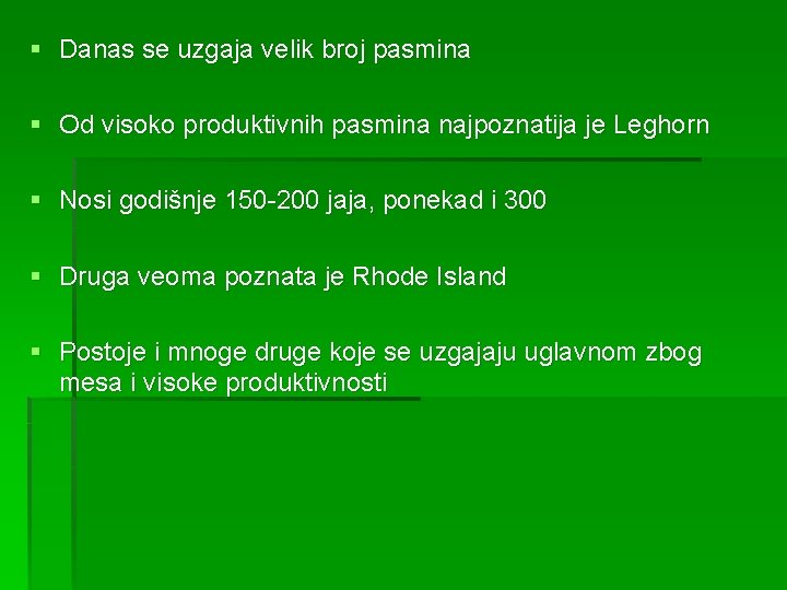 § Danas se uzgaja velik broj pasmina § Od visoko produktivnih pasmina najpoznatija je