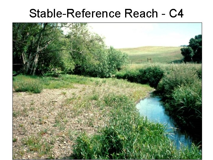 Stable-Reference Reach - C 4 