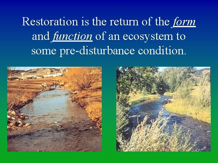 Restoration is the return of the form and function of an ecosystem to some