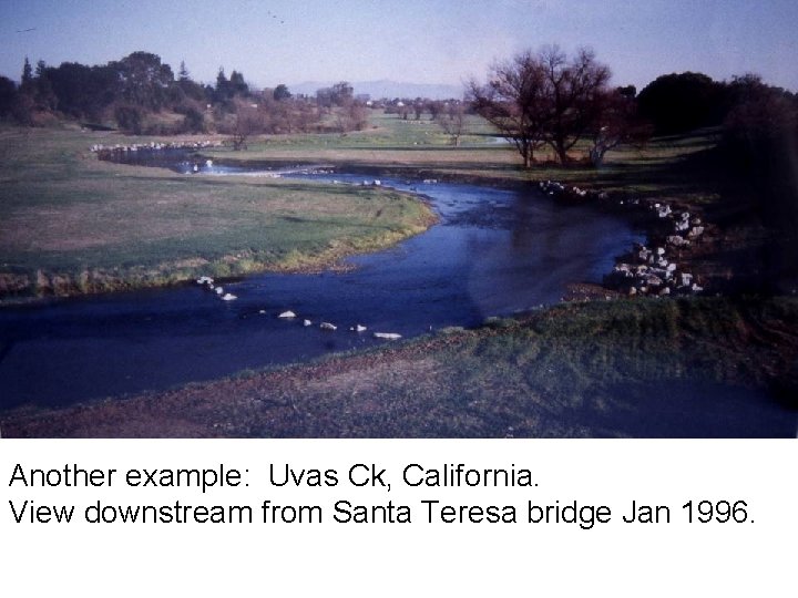 Another example: Uvas Ck, California. View downstream from Santa Teresa bridge Jan 1996. 