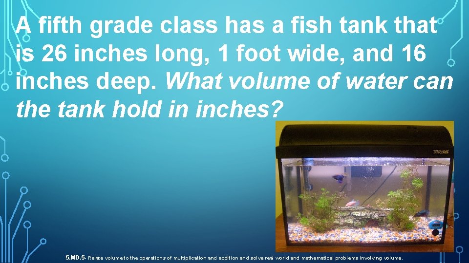 A fifth grade class has a fish tank that is 26 inches long, 1