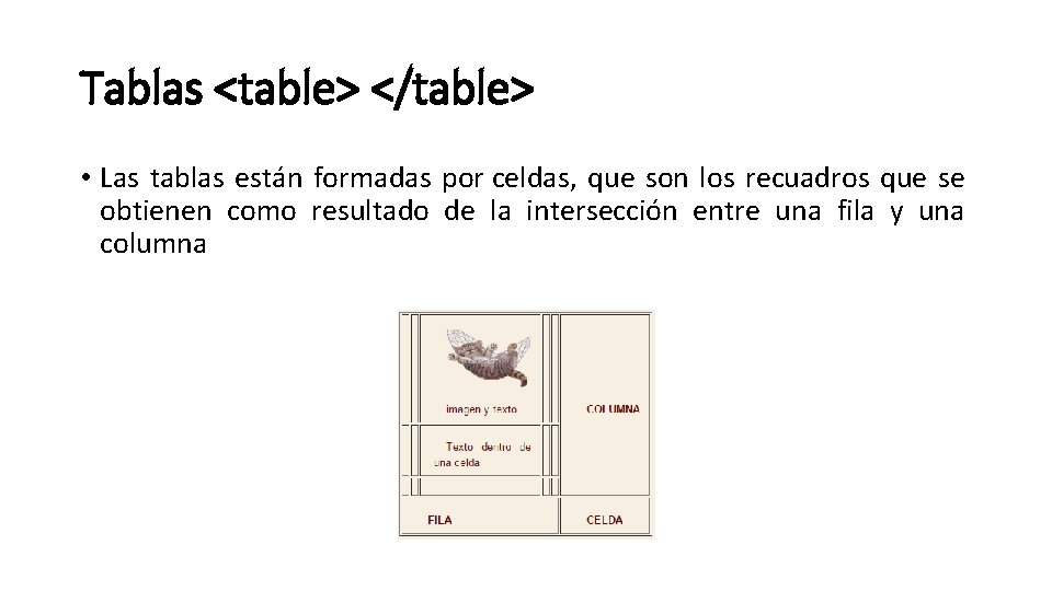 Tablas <table> </table> • Las tablas están formadas por celdas, que son los recuadros