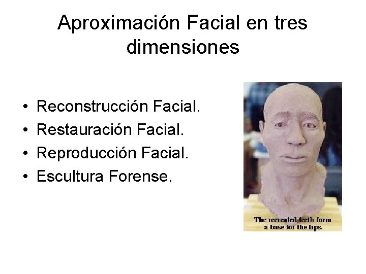 Aproximación Facial en tres dimensiones • • Reconstrucción Facial. Restauración Facial. Reproducción Facial. Escultura