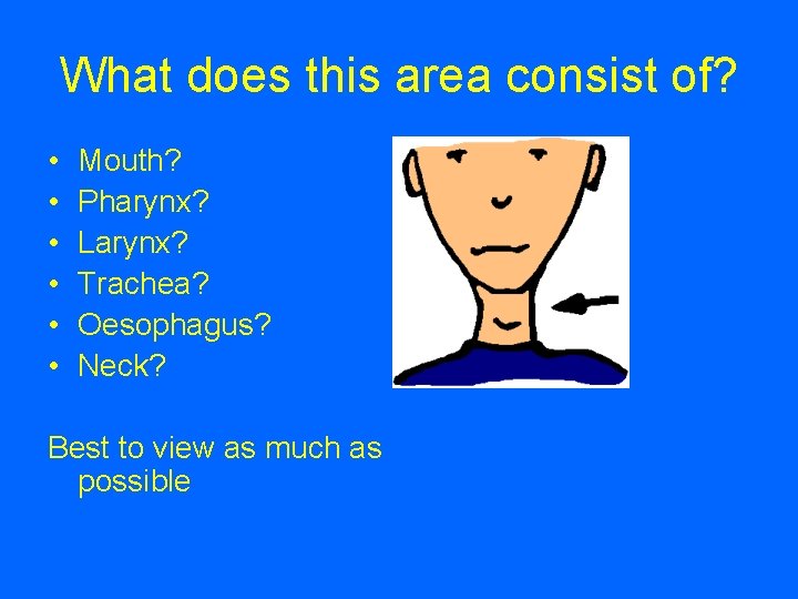 What does this area consist of? • • • Mouth? Pharynx? Larynx? Trachea? Oesophagus?