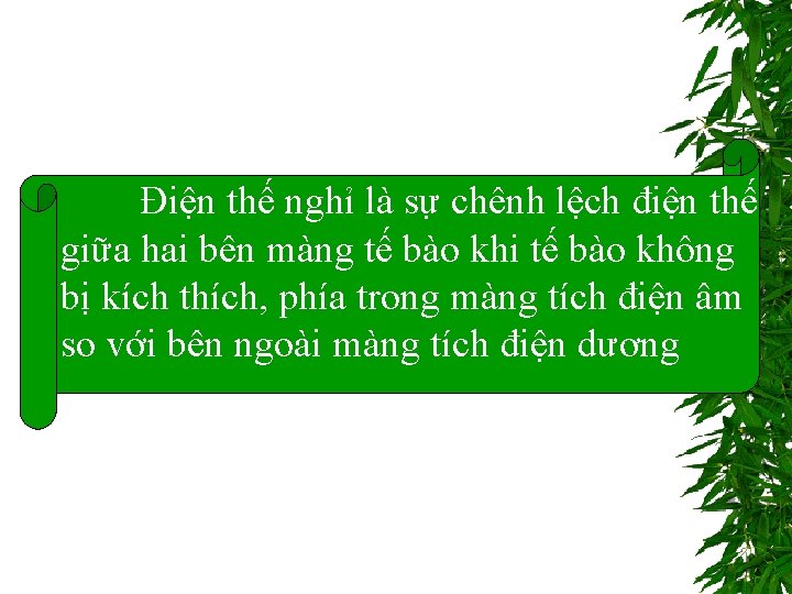 Điện thế nghỉ là sự chênh lệch điện thế giữa hai bên màng tế Điện thế nghỉ là sự chênh lệch điện thế giữa hai bên màng tế
