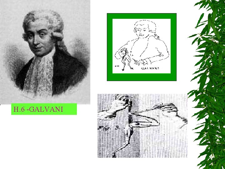 H. 6 -GALVANI H. 6 -GALVANI