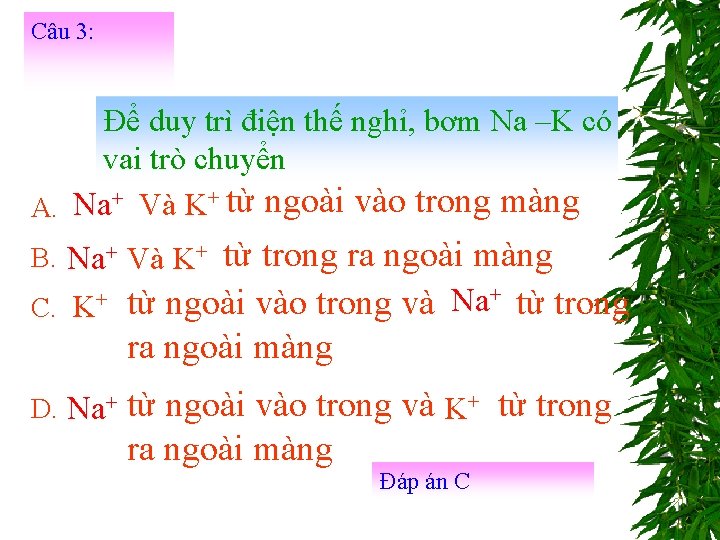 Câu 3: Để duy trì điện thế nghỉ, bơm Na –K có vai trò