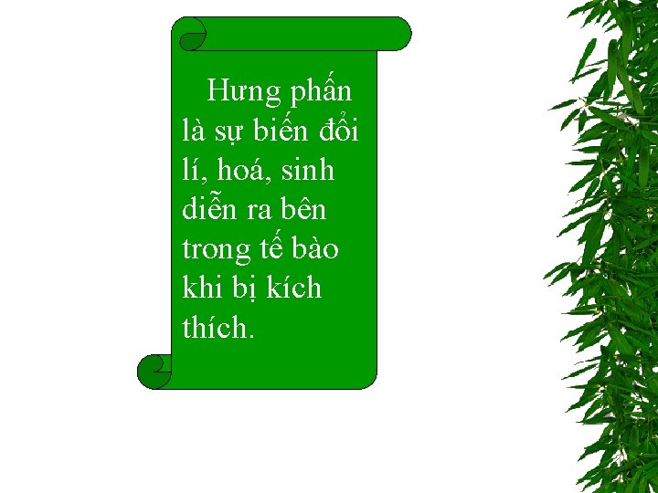 Hưng phấn là sự biến đổi lí, hoá, sinh diễn ra bên trong tế Hưng phấn là sự biến đổi lí, hoá, sinh diễn ra bên trong tế
