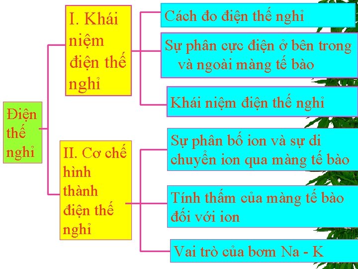 I. Khái niệm điện thế nghỉ Điện thế nghỉ Cách đo điện thế nghỉ