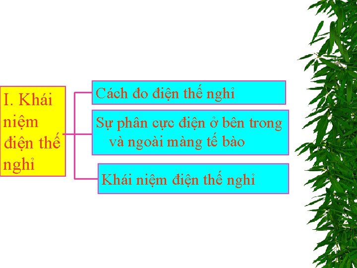 I. Khái niệm điện thế nghỉ Cách đo điện thế nghỉ Sự phân cực