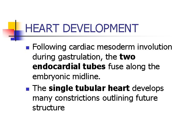 HEART DEVELOPMENT n n Following cardiac mesoderm involution during gastrulation, the two endocardial tubes
