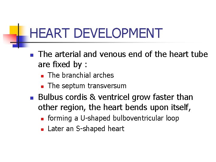 HEART DEVELOPMENT n The arterial and venous end of the heart tube are fixed