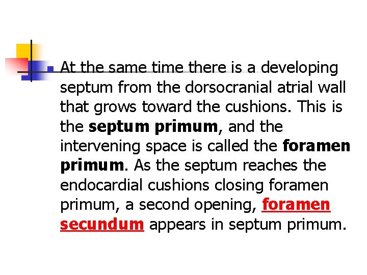 n At the same time there is a developing septum from the dorsocranial atrial