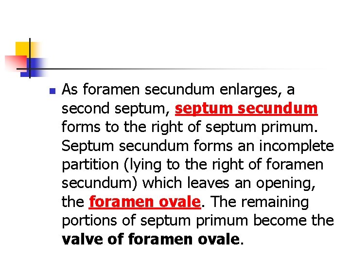 n As foramen secundum enlarges, a second septum, septum secundum forms to the right