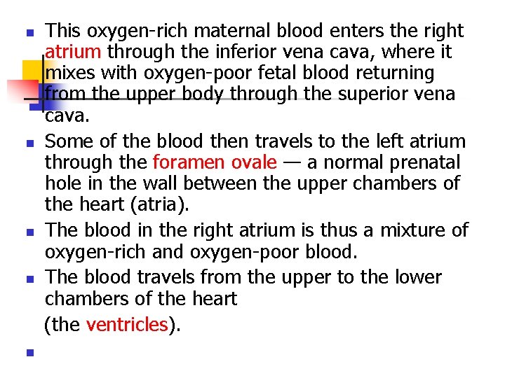 This oxygen-rich maternal blood enters the right atrium through the inferior vena cava, where