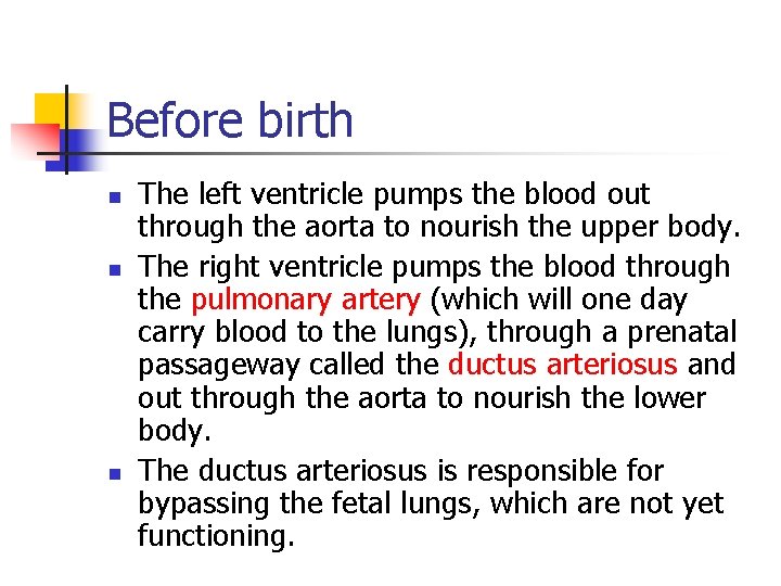 Before birth n n n The left ventricle pumps the blood out through the