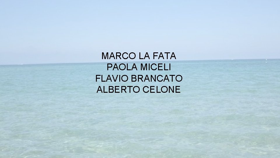 MARCO LA FATA PAOLA MICELI FLAVIO BRANCATO ALBERTO CELONE 