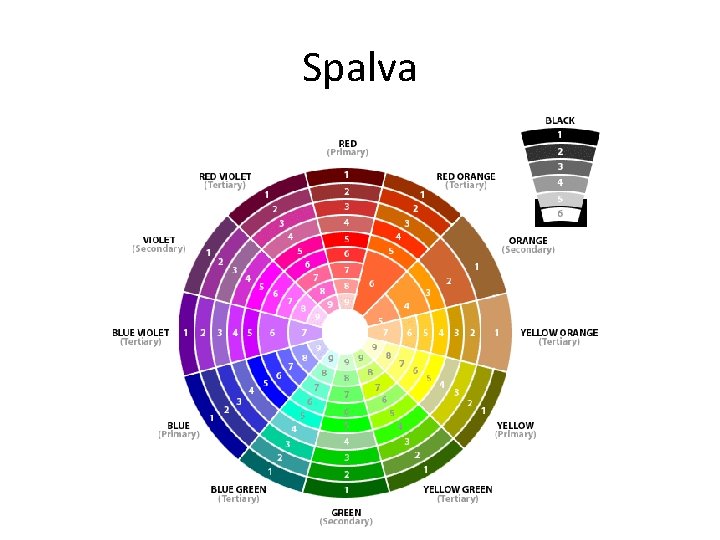 Spalva 