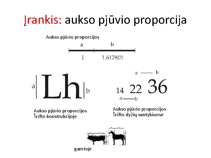 Įrankis: aukso pjūvio proporcija Aukso pjūvio proporcijos Šrifto konstrukcijoje gamtoje Aukso pjūvio proporcijos Šrifto