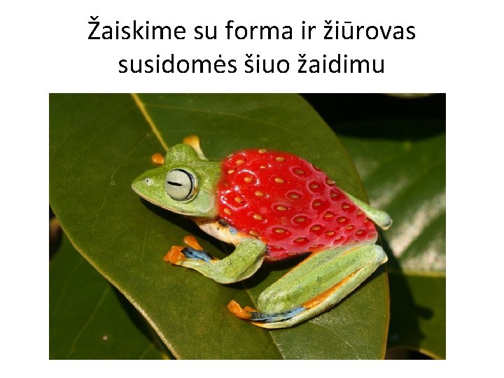 Žaiskime su forma ir žiūrovas susidomės šiuo žaidimu 