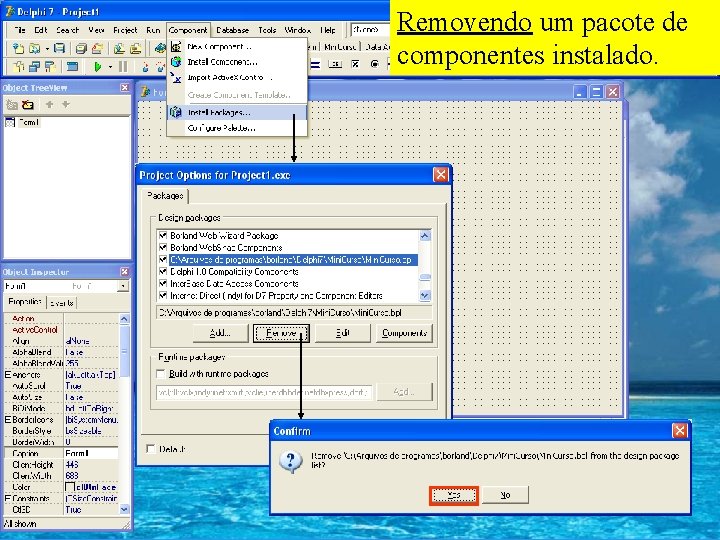 Removendo um pacote de componentes instalado. 