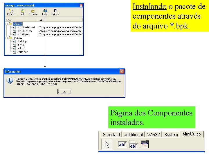 Instalando o pacote de componentes através do arquivo *. bpk. Página dos Componentes instalados.