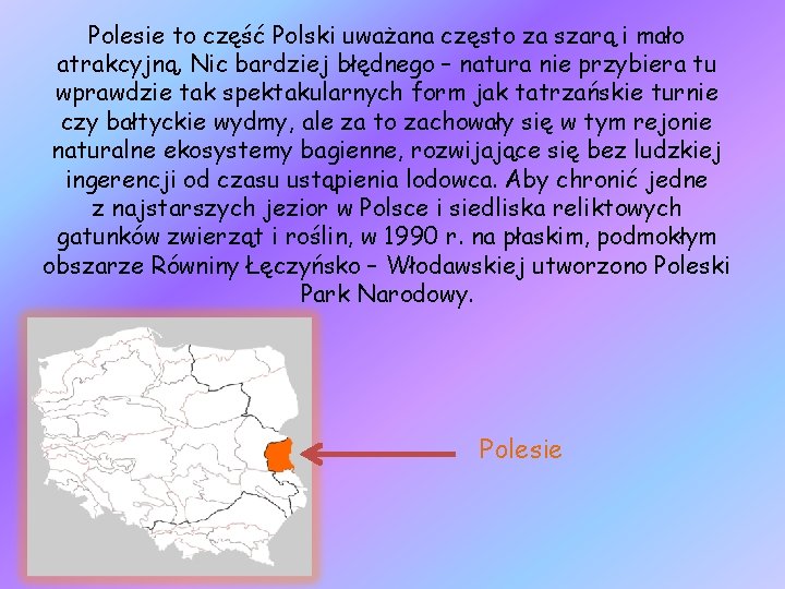 Polesie to część Polski uważana często za szarą i mało atrakcyjną. Nic bardziej błędnego