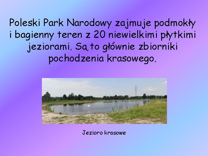 Poleski Park Narodowy zajmuje podmokły i bagienny teren z 20 niewielkimi płytkimi jeziorami. Są