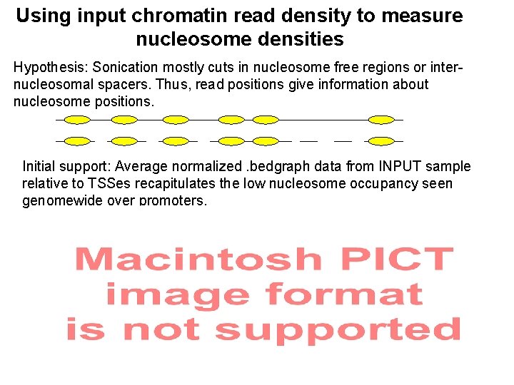 Using input chromatin read density to measure nucleosome densities Hypothesis: Sonication mostly cuts in