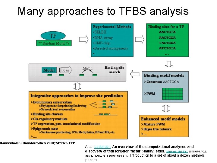 Many approaches to TFBS analysis Hannenhalli S Bioinformatics 2008; 24: 1325 -1331 Also, Ladunga